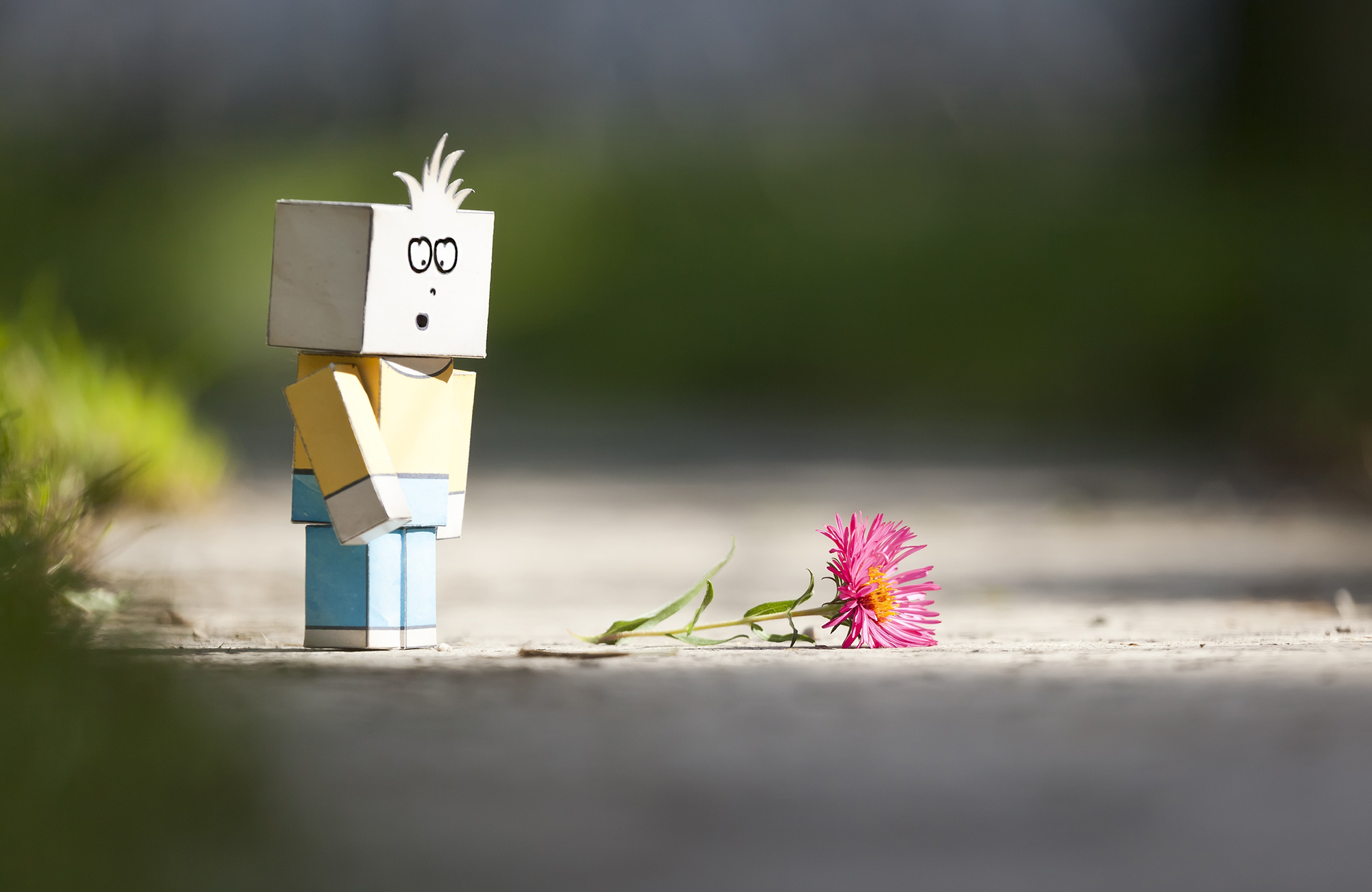 Box Boy Image